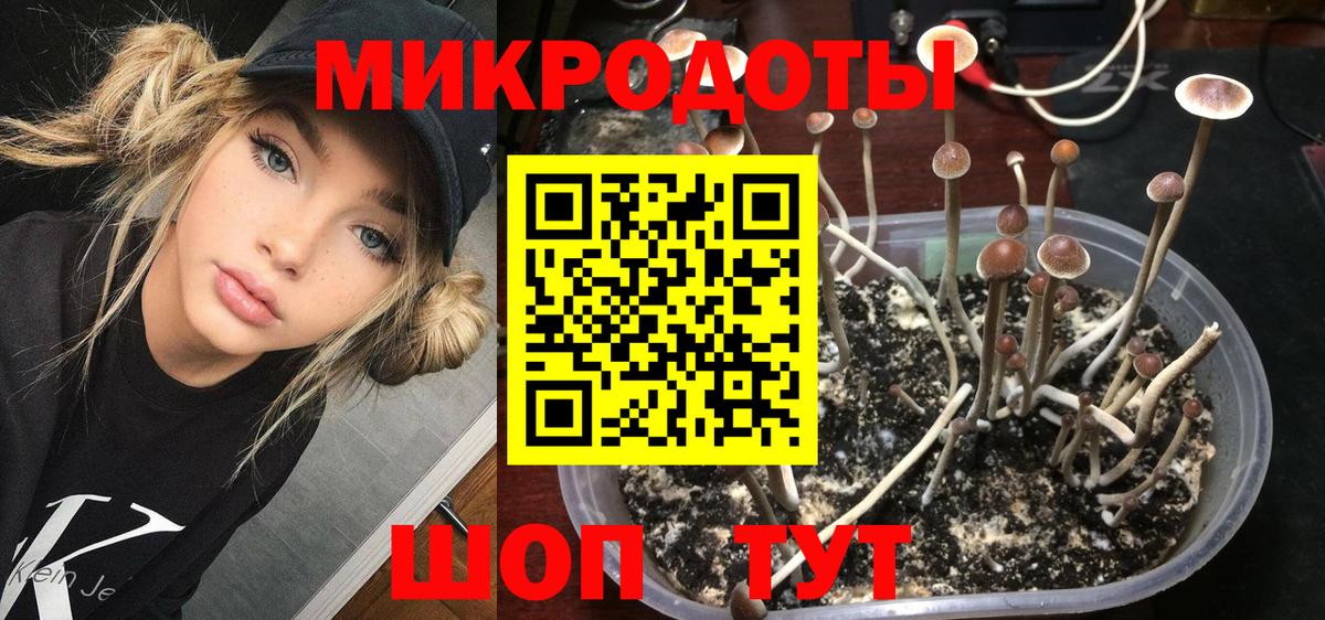 Красноармейск  Галлюциногенные грибы Cubensis  Вход с VPN  Галлюциногенные грибы GOLDEN TEACHER 